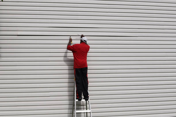 Professional Siding in Schertz, TX